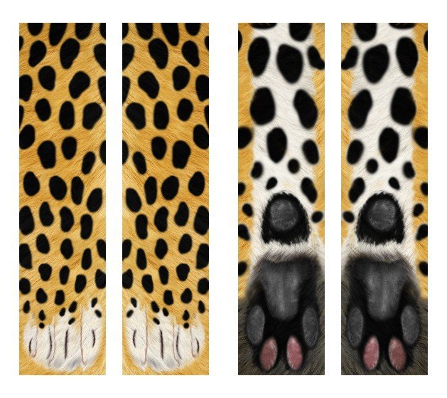 Cute Cat Claws Animal Unisex Long Socks