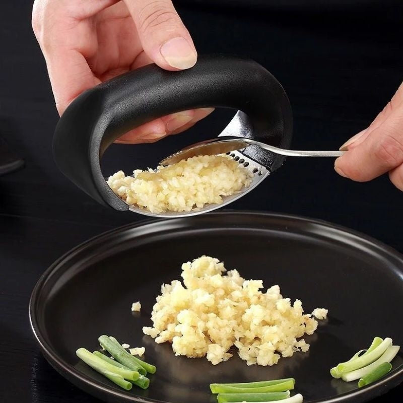 Stainless Steel Manual Curve Garlic Press