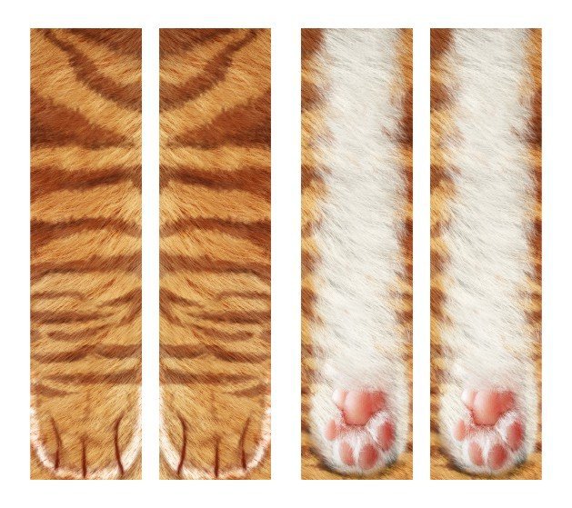Cute Cat Claws Animal Unisex Long Socks
