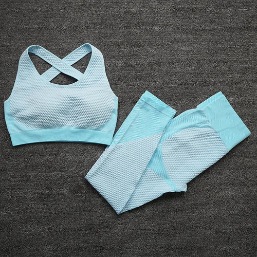 2/3PCS Seamless Women Workout Sportswear Gym Fitness Set