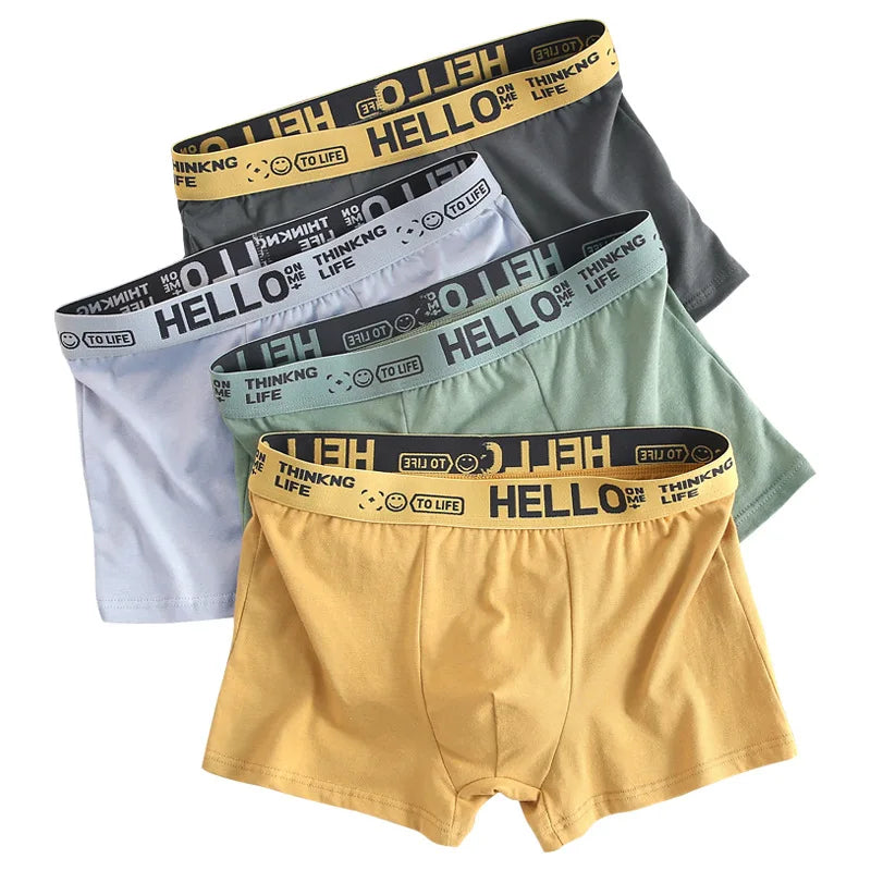 12 pieces Mens Underwear Cotton Male Pure