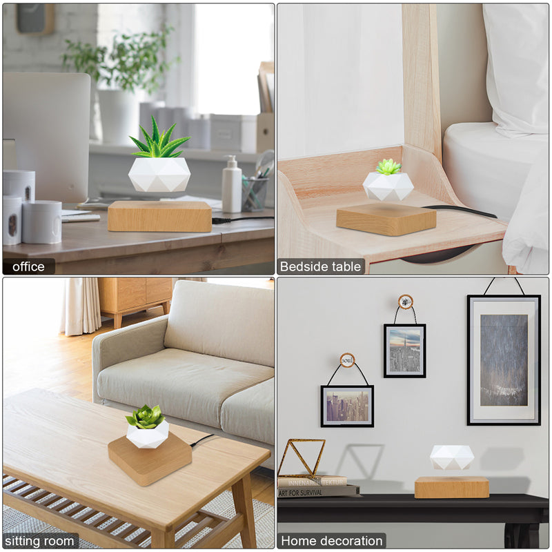 Novelty Levitating Rotation Magnetic Levitation FlowerPot