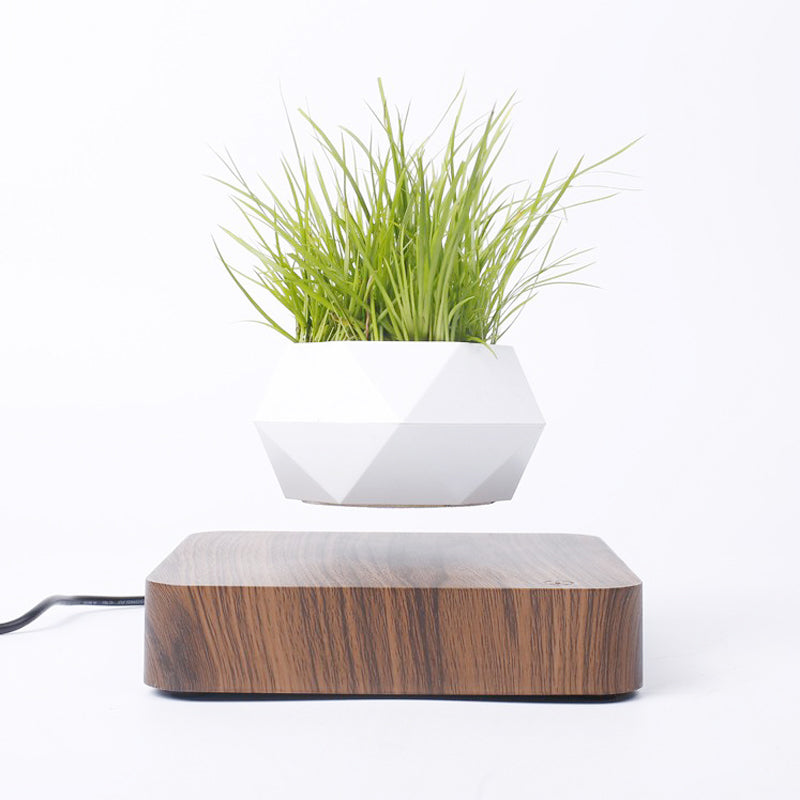 Novelty Levitating Rotation Magnetic Levitation FlowerPot