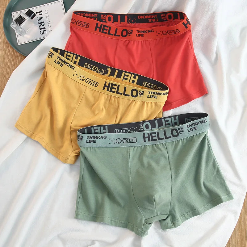 12 pieces Mens Underwear Cotton Male Pure