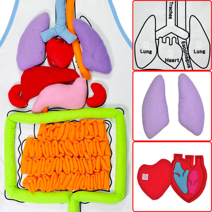 EduGame - Body Anatomy